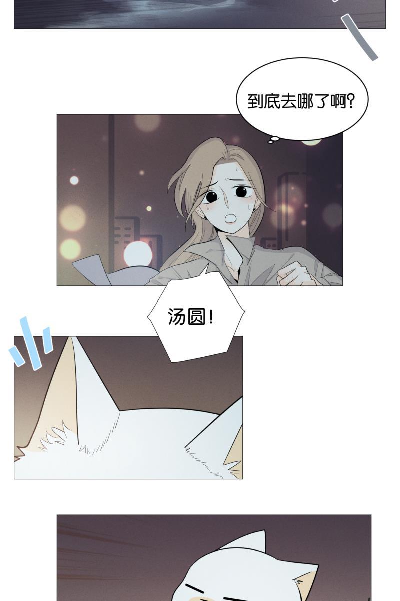 一半韩漫全集-[第1话] 出走的猫（1）无删减无遮挡章节图片 