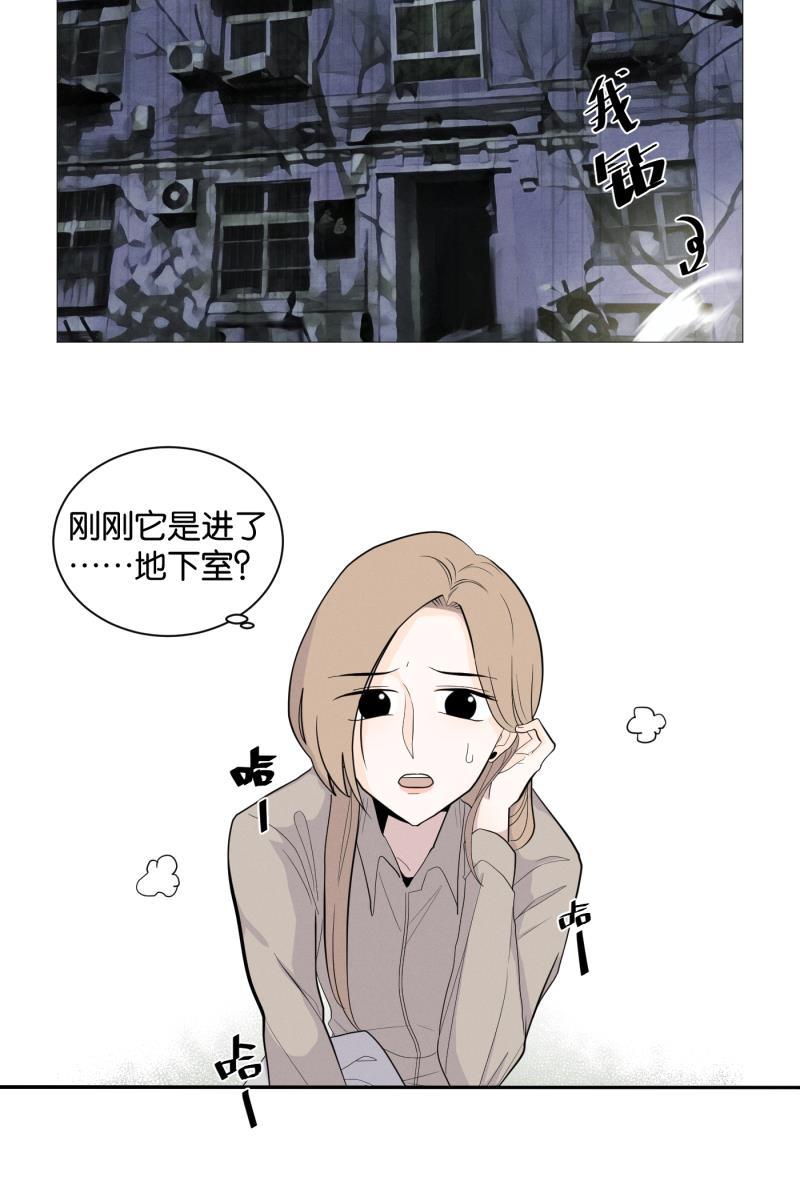 一半韩漫全集-[第1话] 出走的猫（1）无删减无遮挡章节图片 