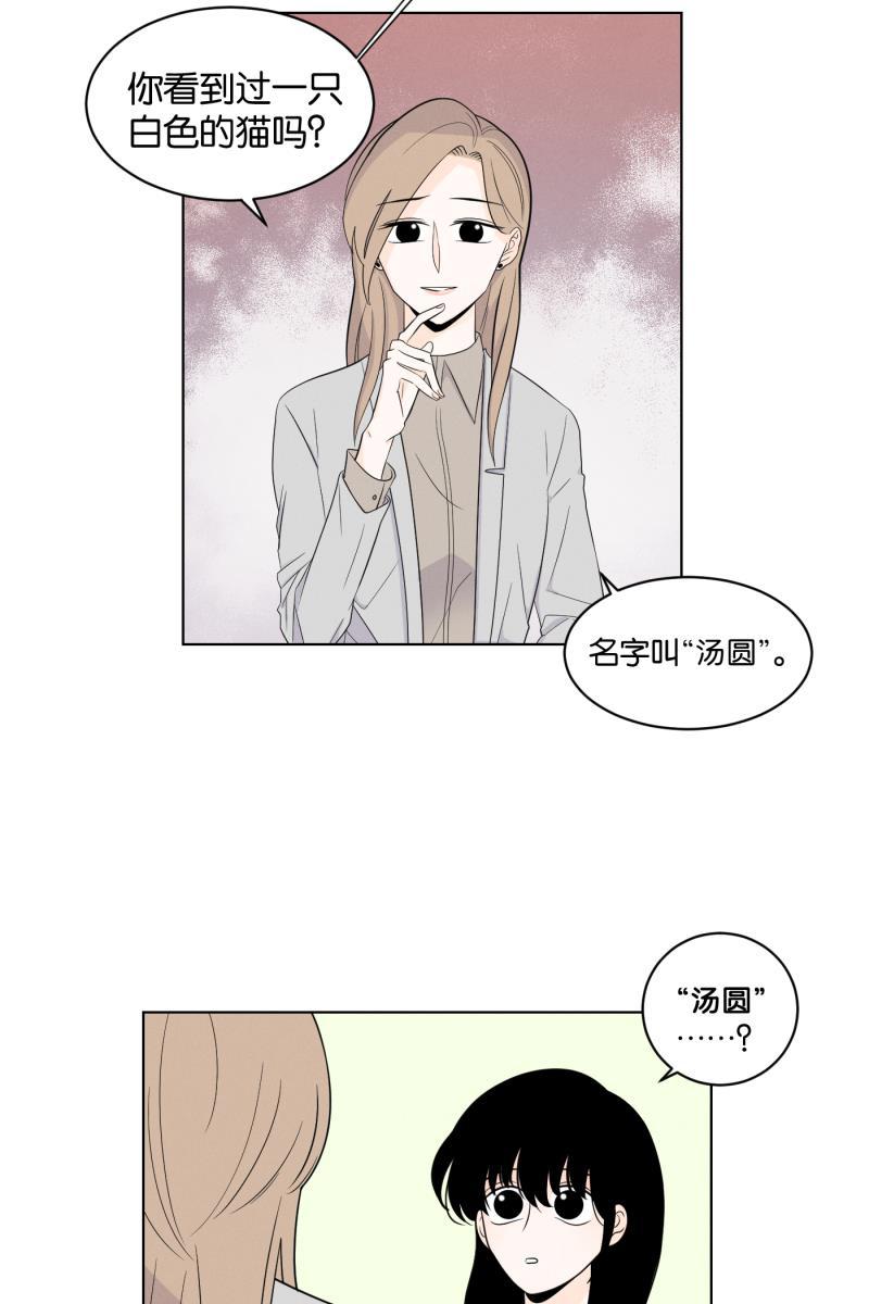 一半韩漫全集-[第2话] 出走的猫（2）无删减无遮挡章节图片 