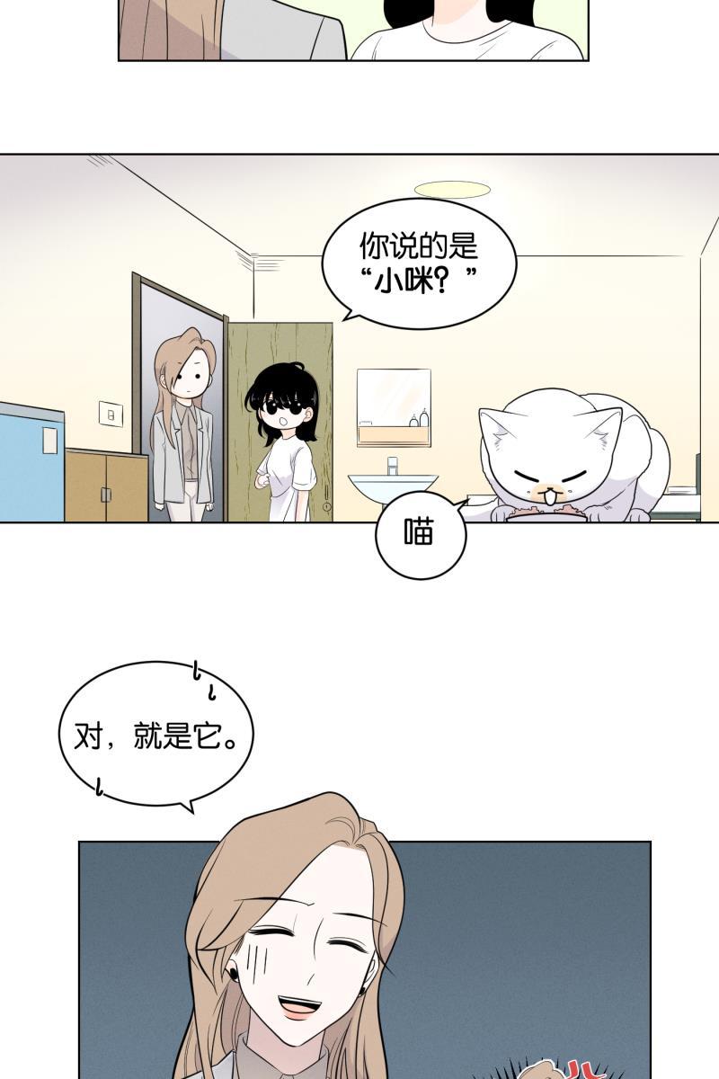 一半韩漫全集-[第2话] 出走的猫（2）无删减无遮挡章节图片 