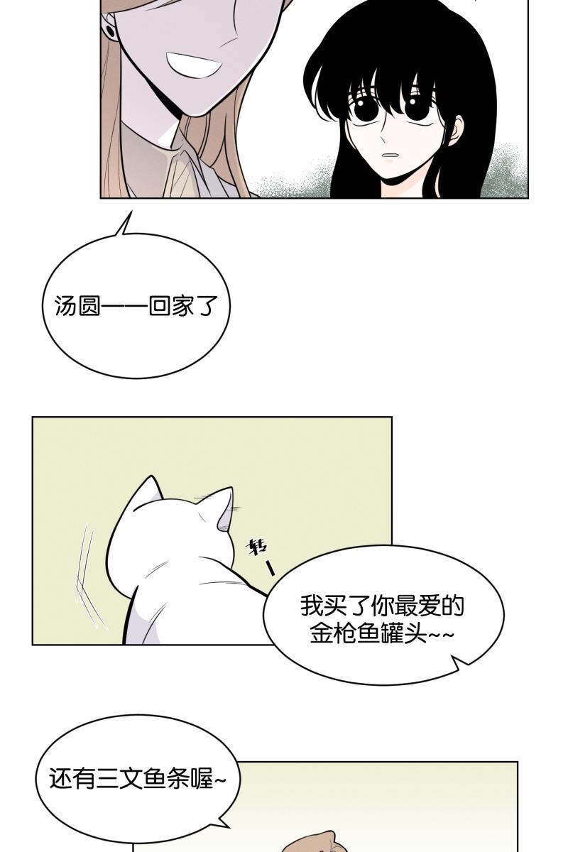 一半韩漫全集-[第2话] 出走的猫（2）无删减无遮挡章节图片 