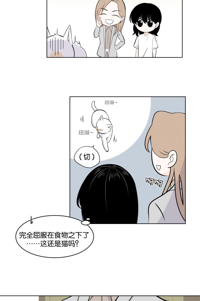 一半韩漫全集-[第2话] 出走的猫（2）无删减无遮挡章节图片 
