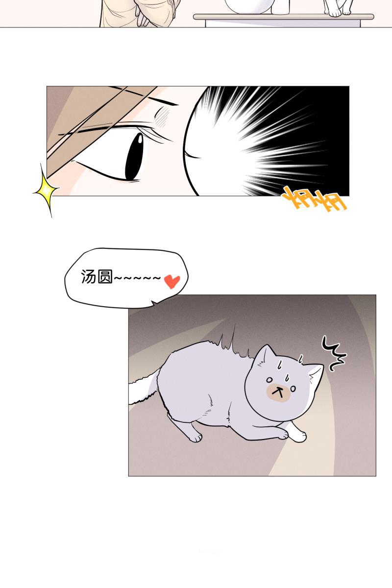 一半韩漫全集-[第3话] 出走的猫（3）无删减无遮挡章节图片 