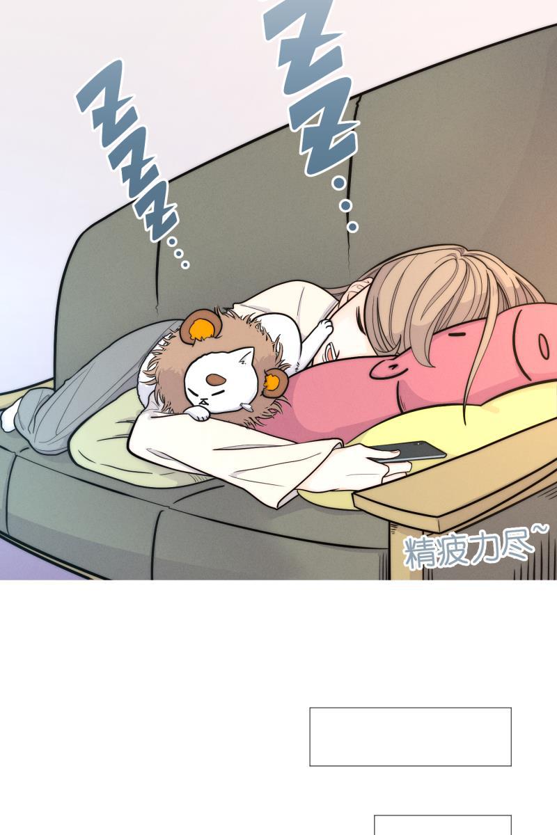 一半韩漫全集-[第3话] 出走的猫（3）无删减无遮挡章节图片 