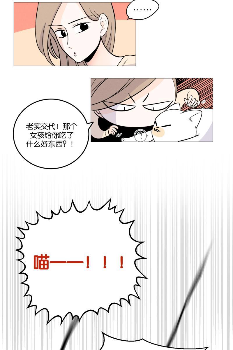 一半韩漫全集-[第3话] 出走的猫（3）无删减无遮挡章节图片 