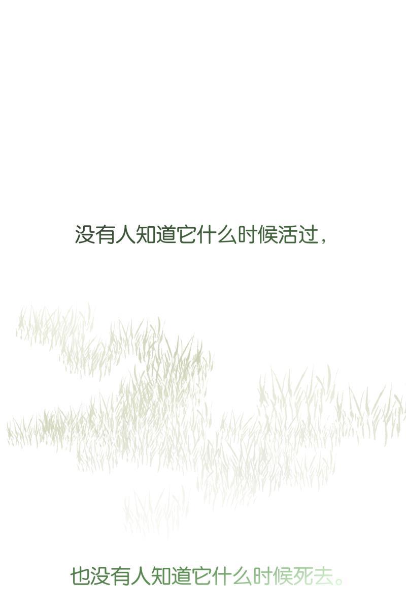 一半韩漫全集-[第76话] 倒下的树无删减无遮挡章节图片 