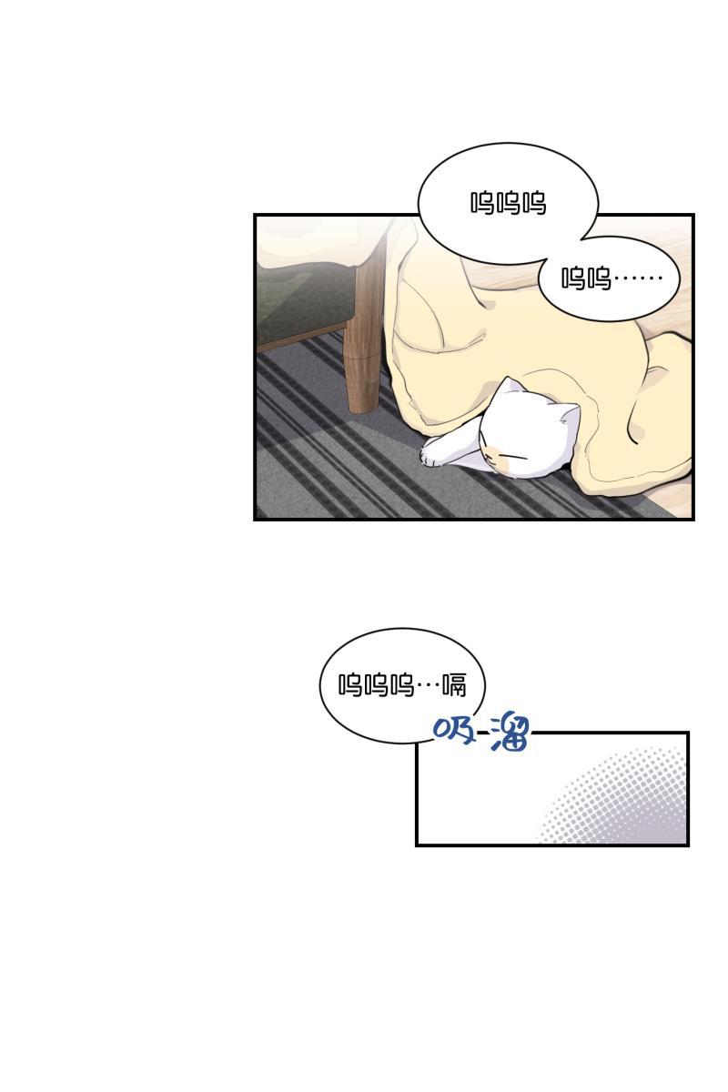 一半韩漫全集-[第76话] 倒下的树无删减无遮挡章节图片 
