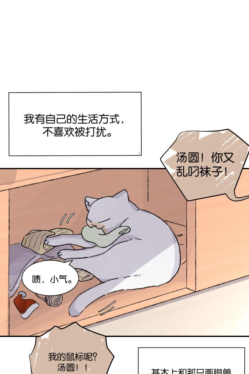 一半韩漫全集-番外篇 同一屋檐下的（沙雕）日常无删减无遮挡章节图片 
