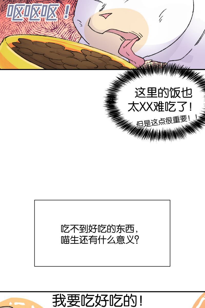 一半韩漫全集-番外篇 同一屋檐下的（沙雕）日常无删减无遮挡章节图片 