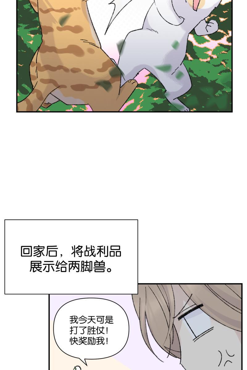一半韩漫全集-番外篇 同一屋檐下的（沙雕）日常无删减无遮挡章节图片 