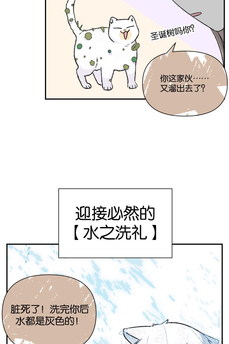一半韩漫全集-番外篇 同一屋檐下的（沙雕）日常无删减无遮挡章节图片 