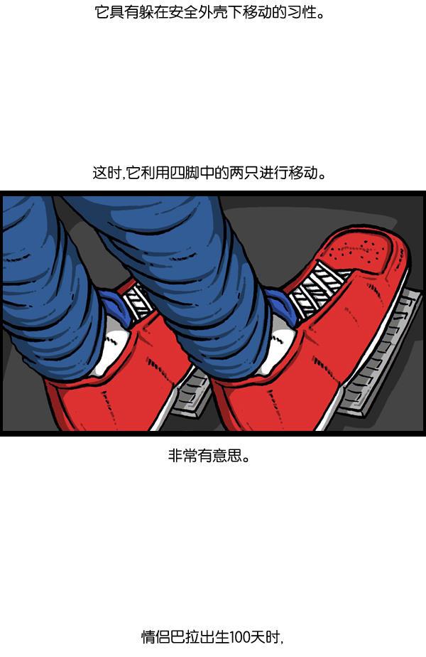 最快更新的心灵的声音韩漫全集-[第889话] 神秘动物综述无删减无遮挡章节图片 