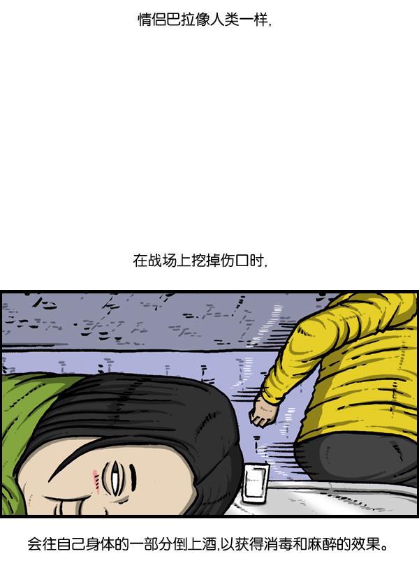 最快更新的心灵的声音韩漫全集-[第889话] 神秘动物综述无删减无遮挡章节图片 
