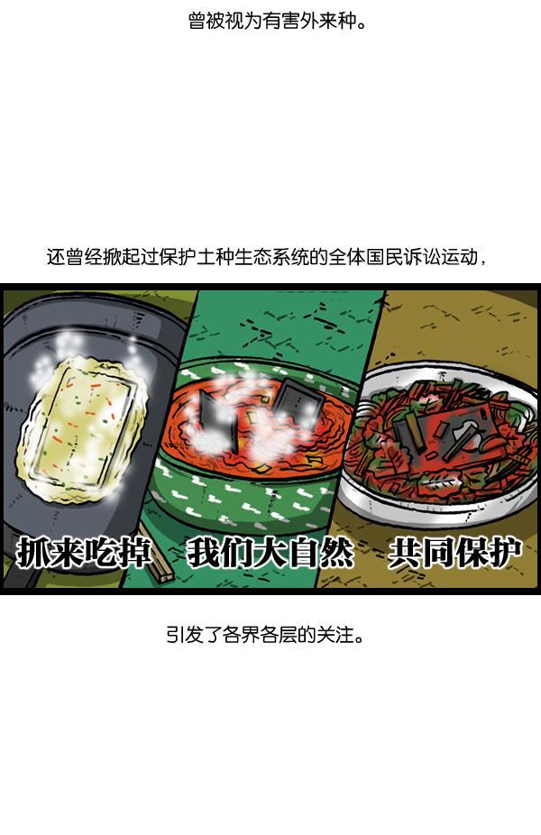 最快更新的心灵的声音韩漫全集-[第893话] 神秘动物综述2无删减无遮挡章节图片 