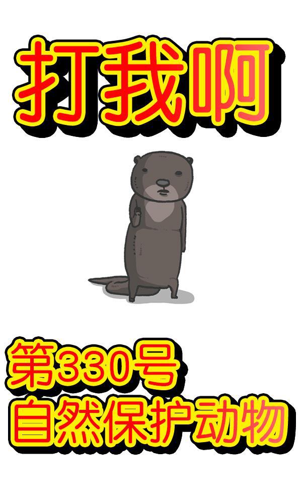 最快更新的心灵的声音韩漫全集-[第1168话]自然保护动物无删减无遮挡章节图片 
