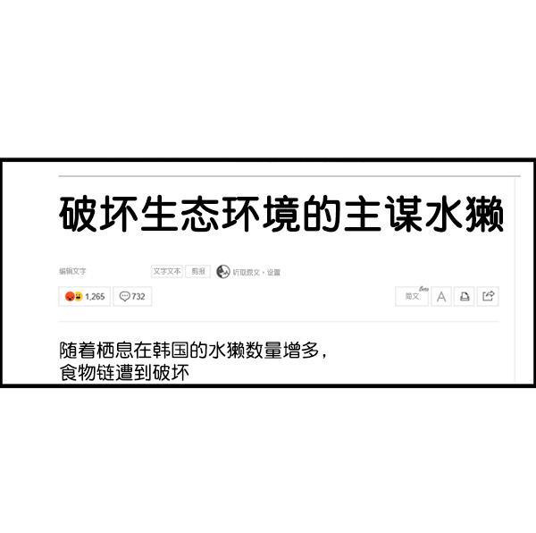 最快更新的心灵的声音韩漫全集-[第1168话]自然保护动物无删减无遮挡章节图片 