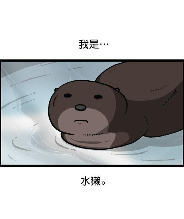 最快更新的心灵的声音韩漫全集-[第1168话]自然保护动物无删减无遮挡章节图片 