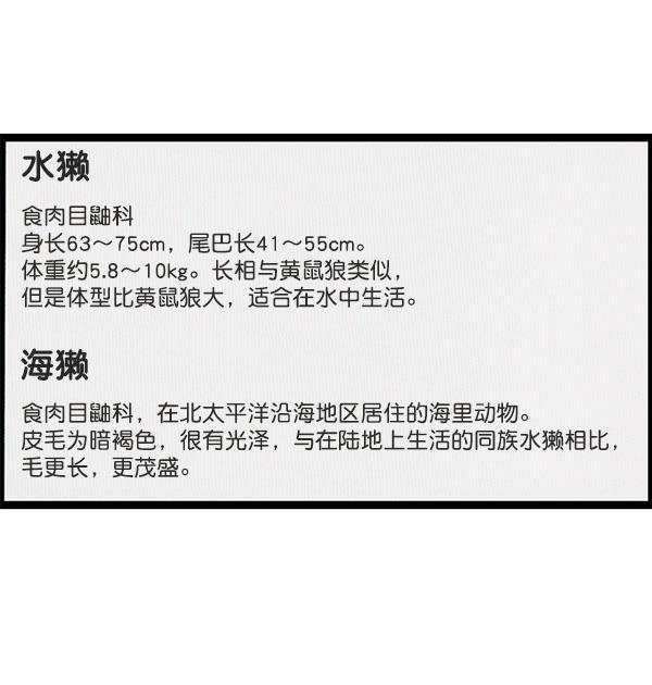 最快更新的心灵的声音韩漫全集-[第1168话]自然保护动物无删减无遮挡章节图片 