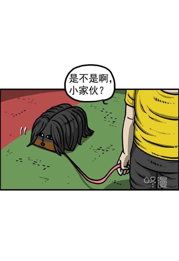 最快更新的心灵的声音韩漫全集-[第1174话] 假发冒险记无删减无遮挡章节图片 