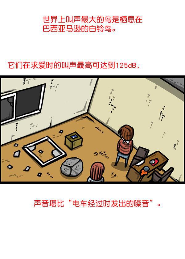 最快更新的心灵的声音韩漫全集-[第1216话] 快递无删减无遮挡章节图片 