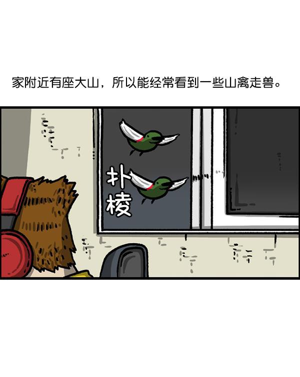 樱兰高校男公关部漫画-[第1224话] 不认识的鸟全彩韩漫标签