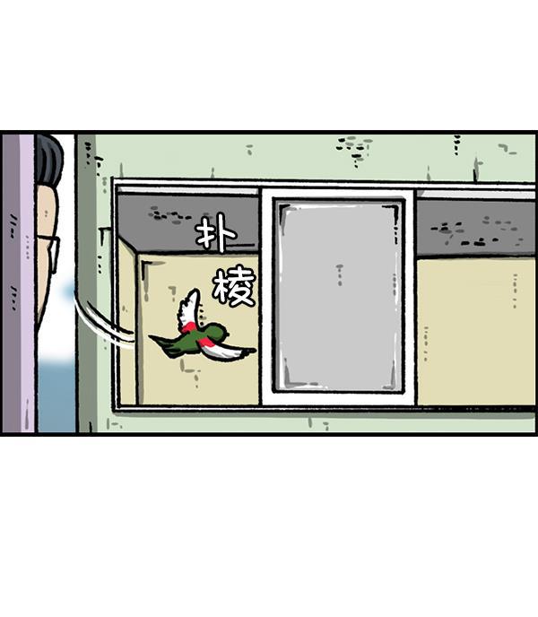 最快更新的心灵的声音韩漫全集-[第1224话] 不认识的鸟无删减无遮挡章节图片 