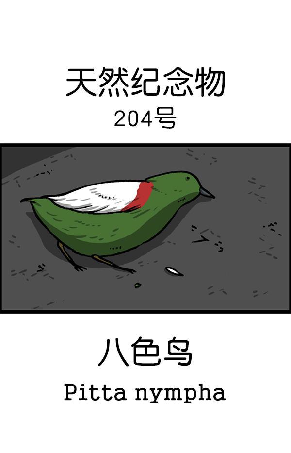 最快更新的心灵的声音韩漫全集-[第1224话] 不认识的鸟无删减无遮挡章节图片 