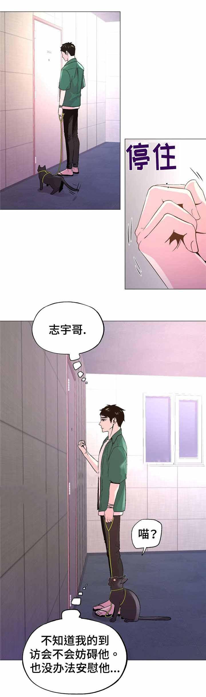 耽美bl漫画-第52话全彩韩漫标签