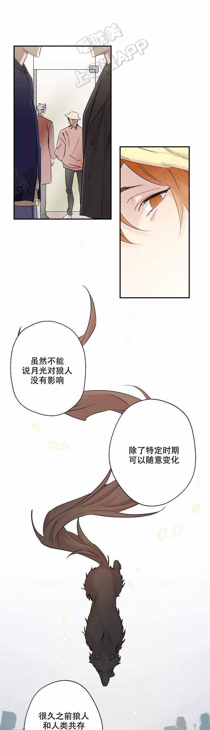 斗破苍穹漫画美杜莎-第31话全彩韩漫标签