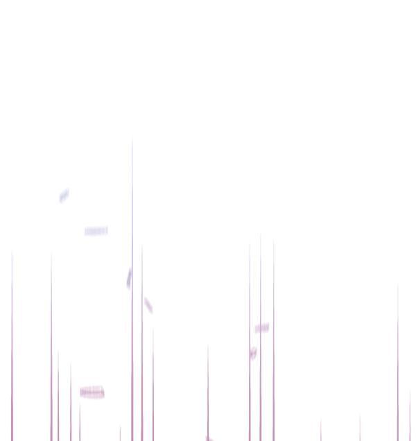 朕的皇妃是客服韩漫全集-第20话无删减无遮挡章节图片 