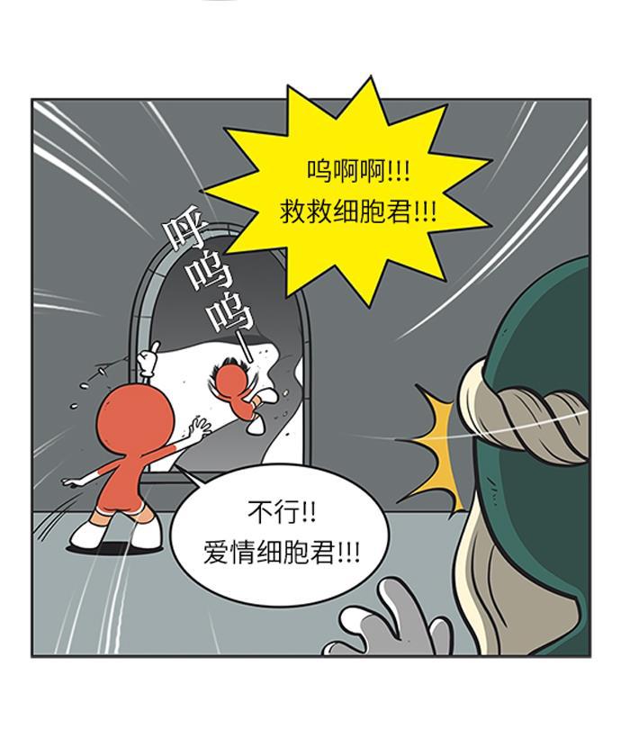柔美的细胞君韩漫全集-[第76话] 赛理无法忍受的两件事(2)无删减无遮挡章节图片 