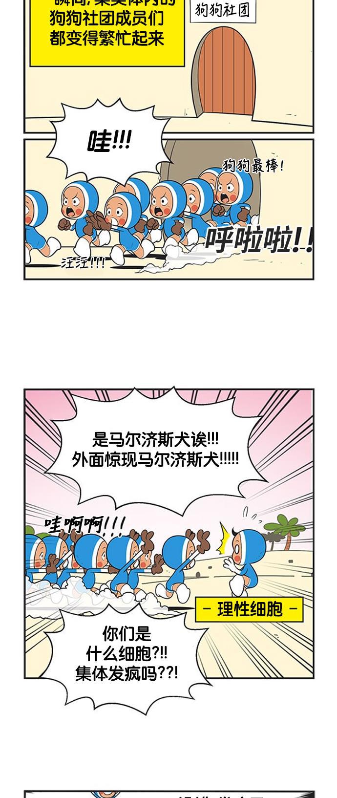 英雄联盟漫画-[第372话] 连环4全彩韩漫标签