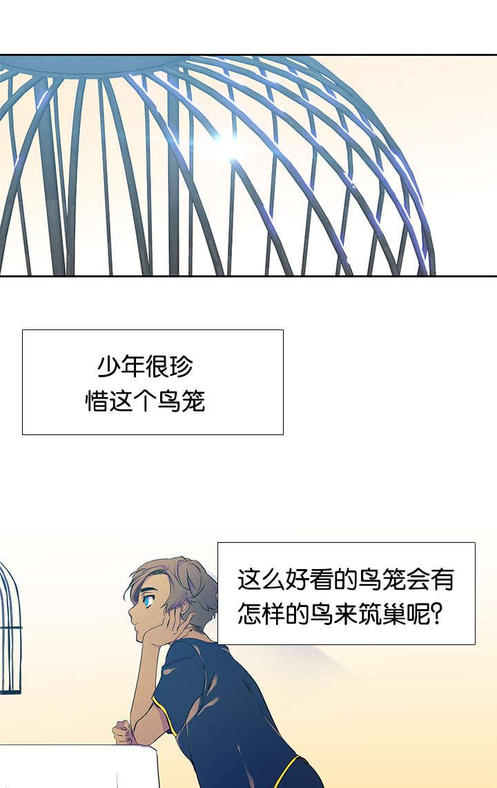 梦中寻爱韩漫全集-鸟笼无删减无遮挡章节图片 