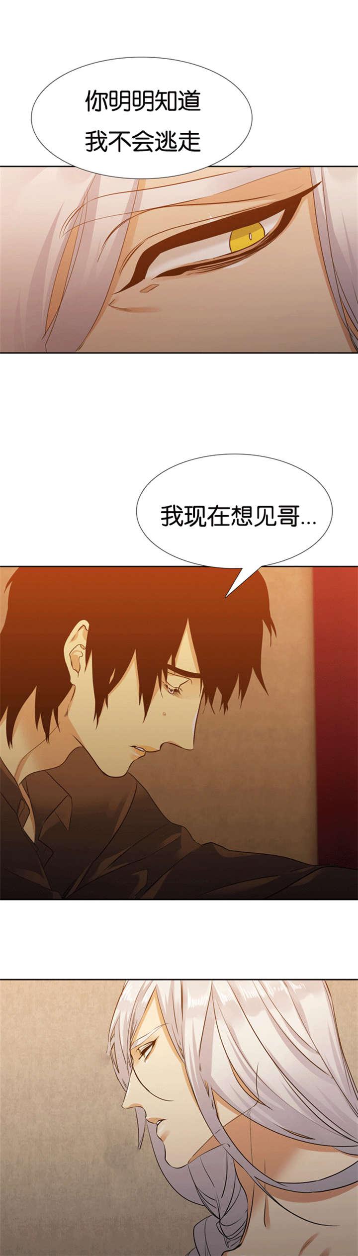 梦中寻爱韩漫全集-第64话 你骗人无删减无遮挡章节图片 