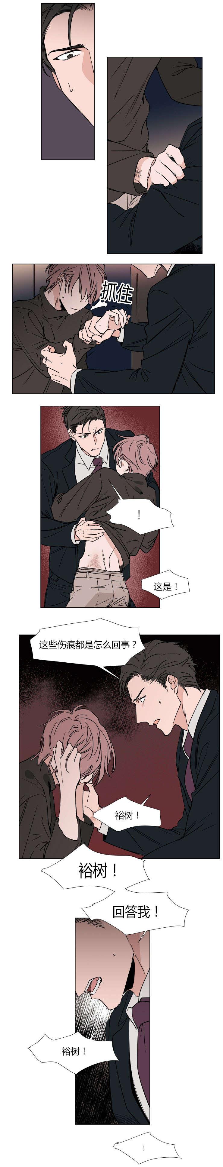 漫画H图-第36话全彩韩漫标签