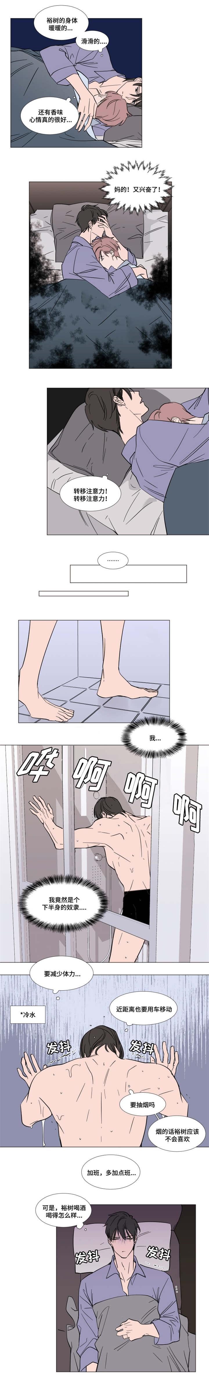 漫画H图-第56话全彩韩漫标签