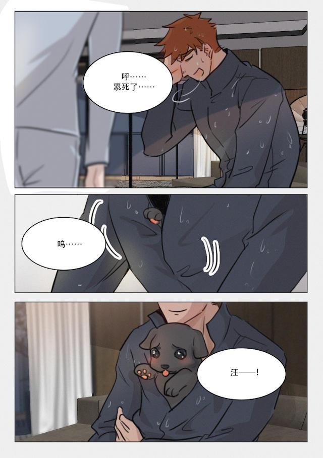 h成人漫画-81_81话全彩韩漫标签