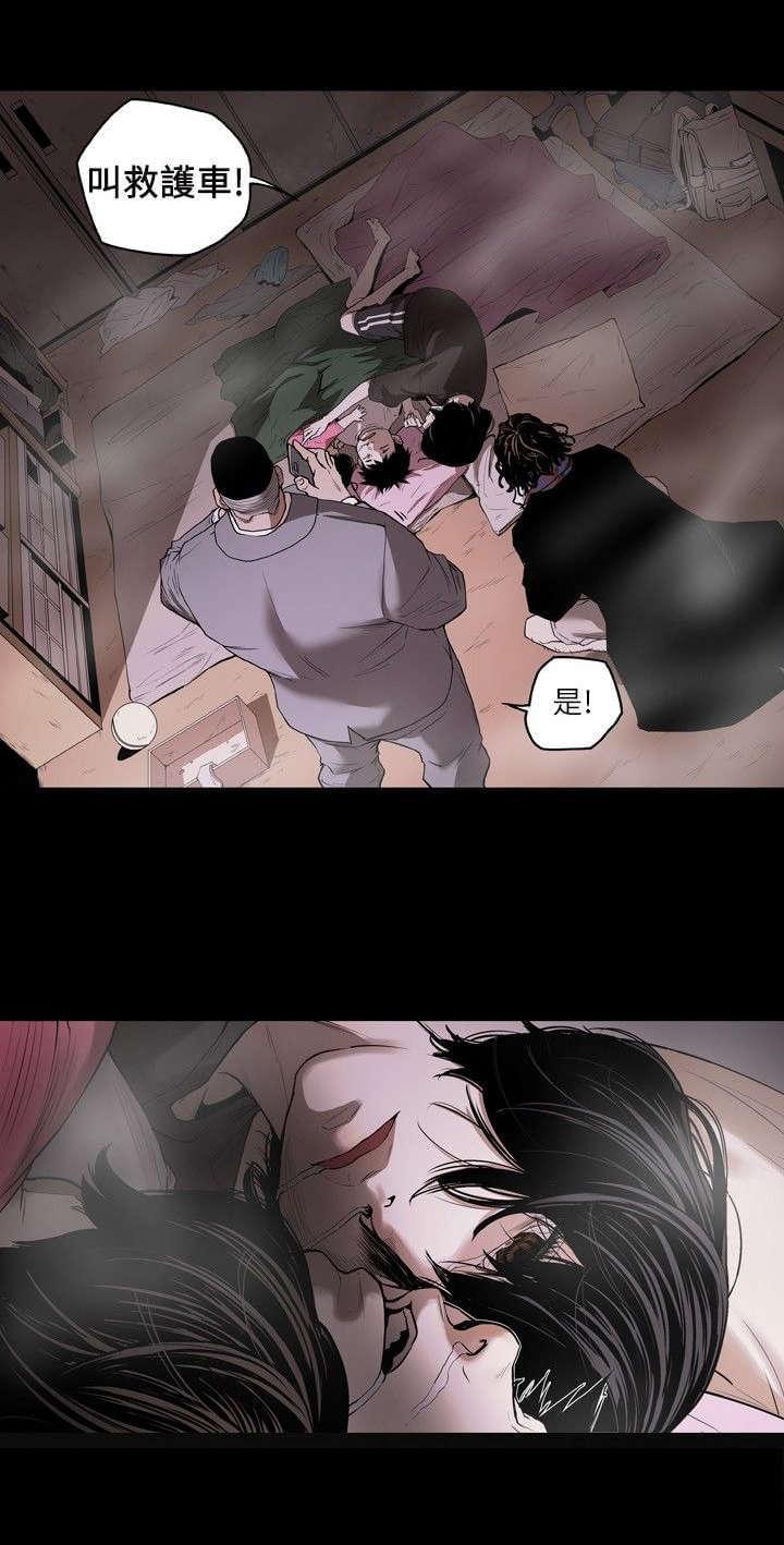 温柔的骗局韩漫全集-第1话无删减无遮挡章节图片 