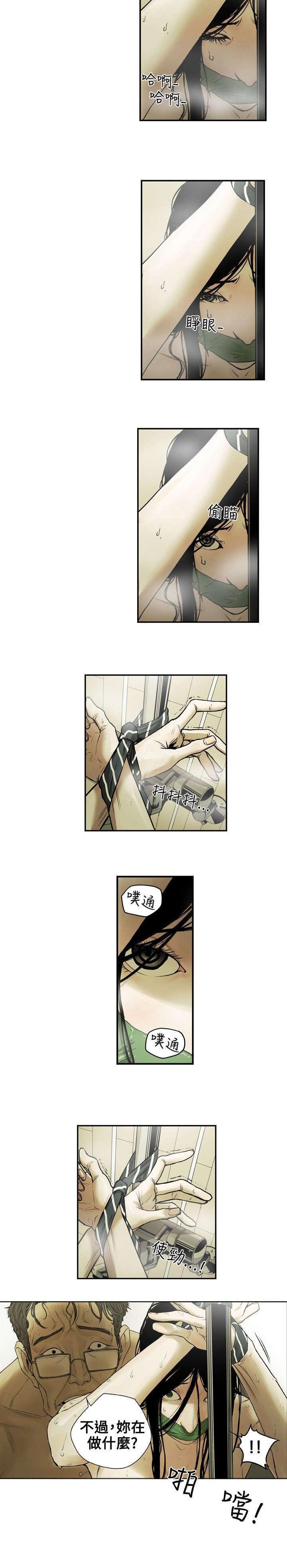 温柔的骗局韩漫全集-第1话无删减无遮挡章节图片 
