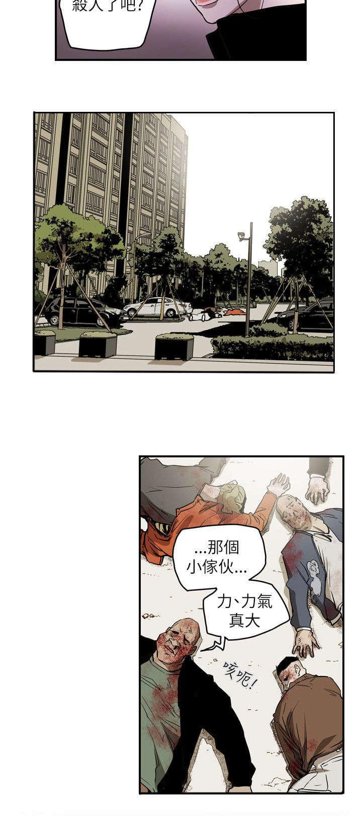 温柔的骗局韩漫全集-第49话无删减无遮挡章节图片 