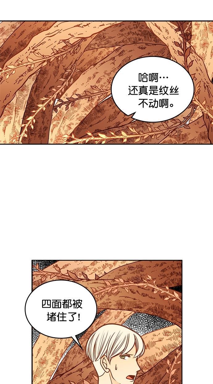 温蒂的花店韩漫全集-[第二季] 第7话无删减无遮挡章节图片 