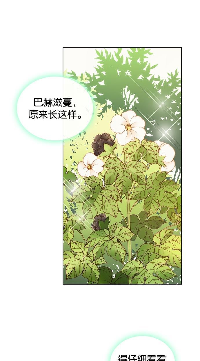 温蒂的花店韩漫全集-第4话无删减无遮挡章节图片 