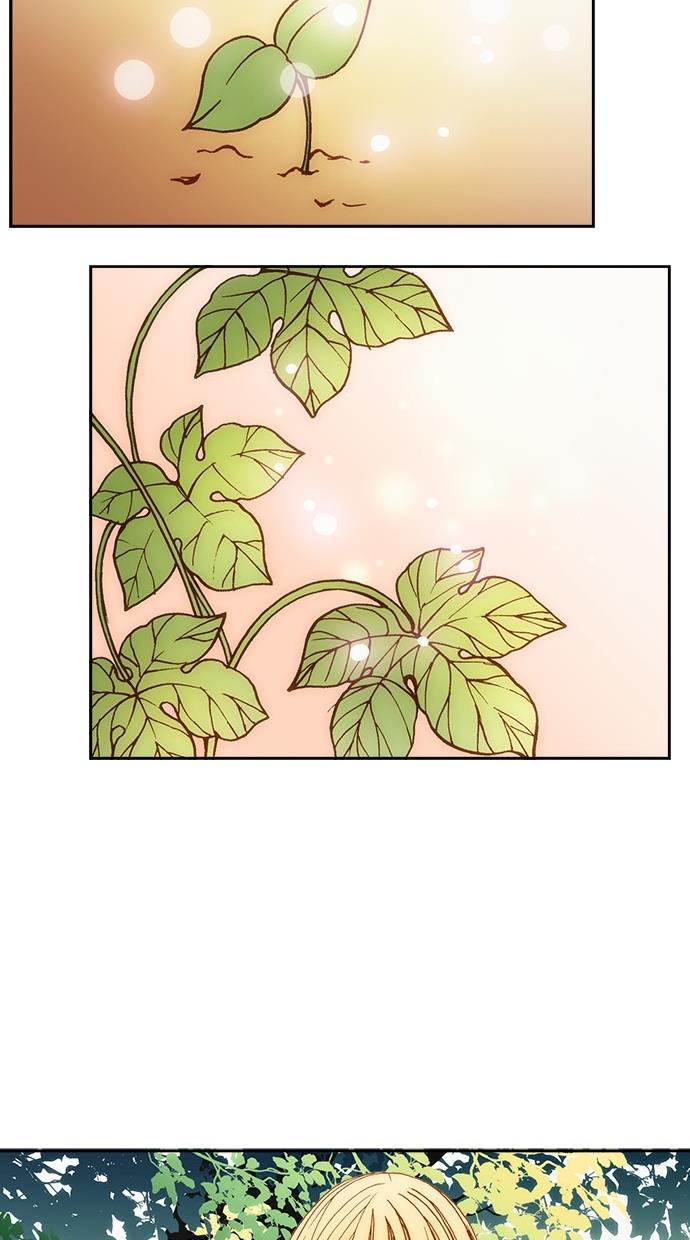 温蒂的花店韩漫全集-第7话无删减无遮挡章节图片 