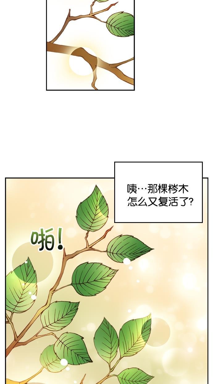 温蒂的花店韩漫全集-第10话无删减无遮挡章节图片 