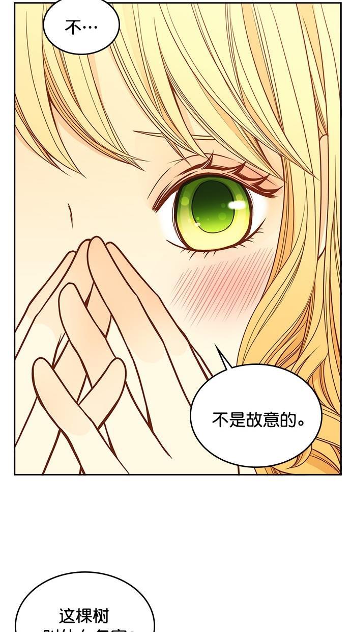 温蒂的花店韩漫全集-第33话无删减无遮挡章节图片 