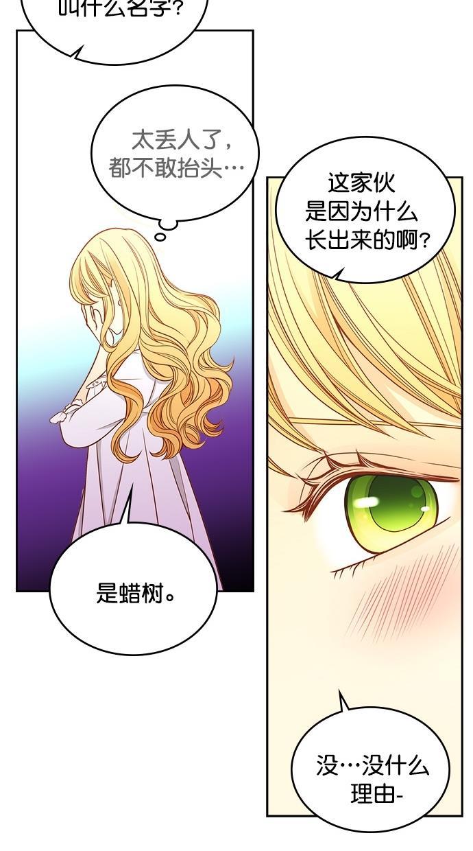 温蒂的花店韩漫全集-第33话无删减无遮挡章节图片 