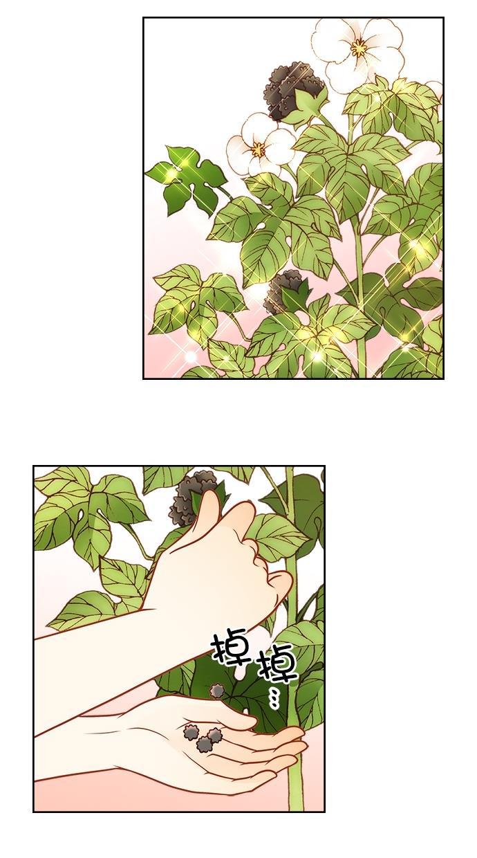 温蒂的花店韩漫全集-[第二季] 第29话无删减无遮挡章节图片 