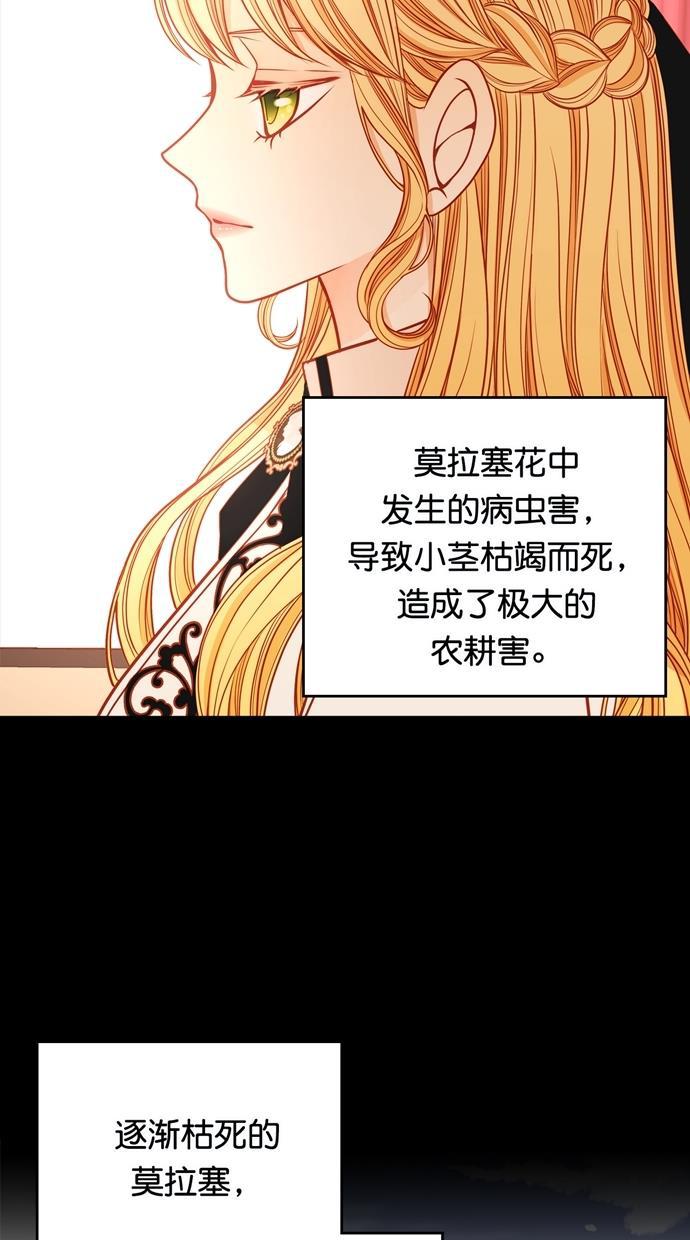 温蒂的花店韩漫全集-[第二季] 第34话无删减无遮挡章节图片 