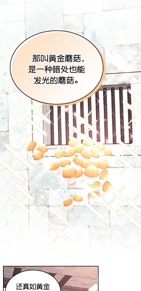 温蒂的花店韩漫全集-[第三季] 第2话无删减无遮挡章节图片 