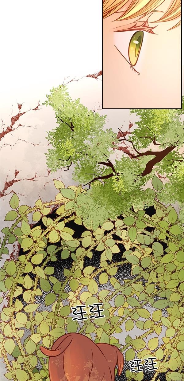 温蒂的花店韩漫全集-[第三季] 第4话无删减无遮挡章节图片 